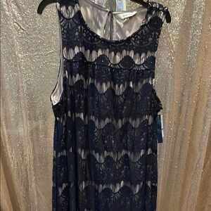 Speechless Blush Slip Dress with Navy/taupe Lace Trim NWT